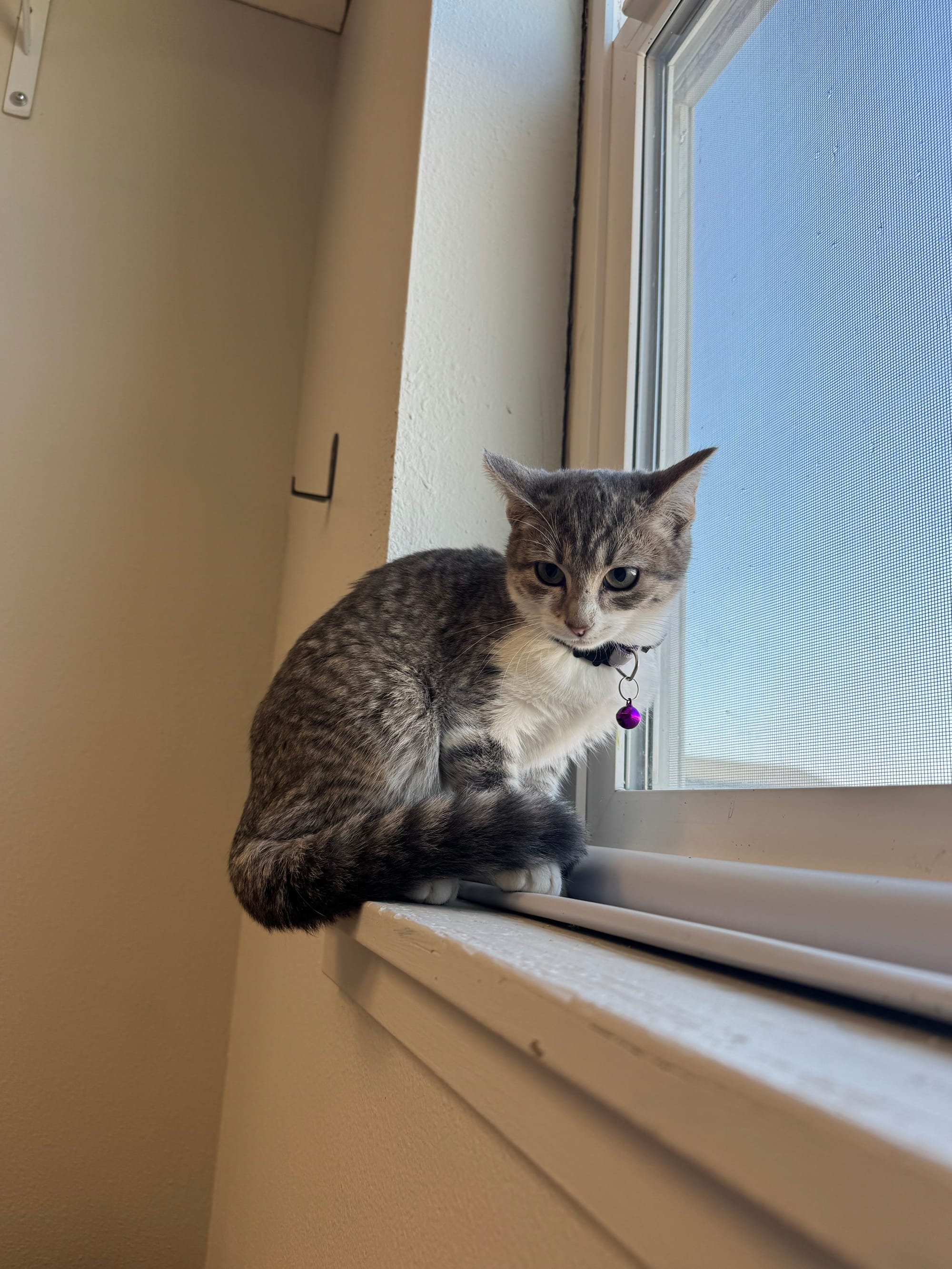 Maggie