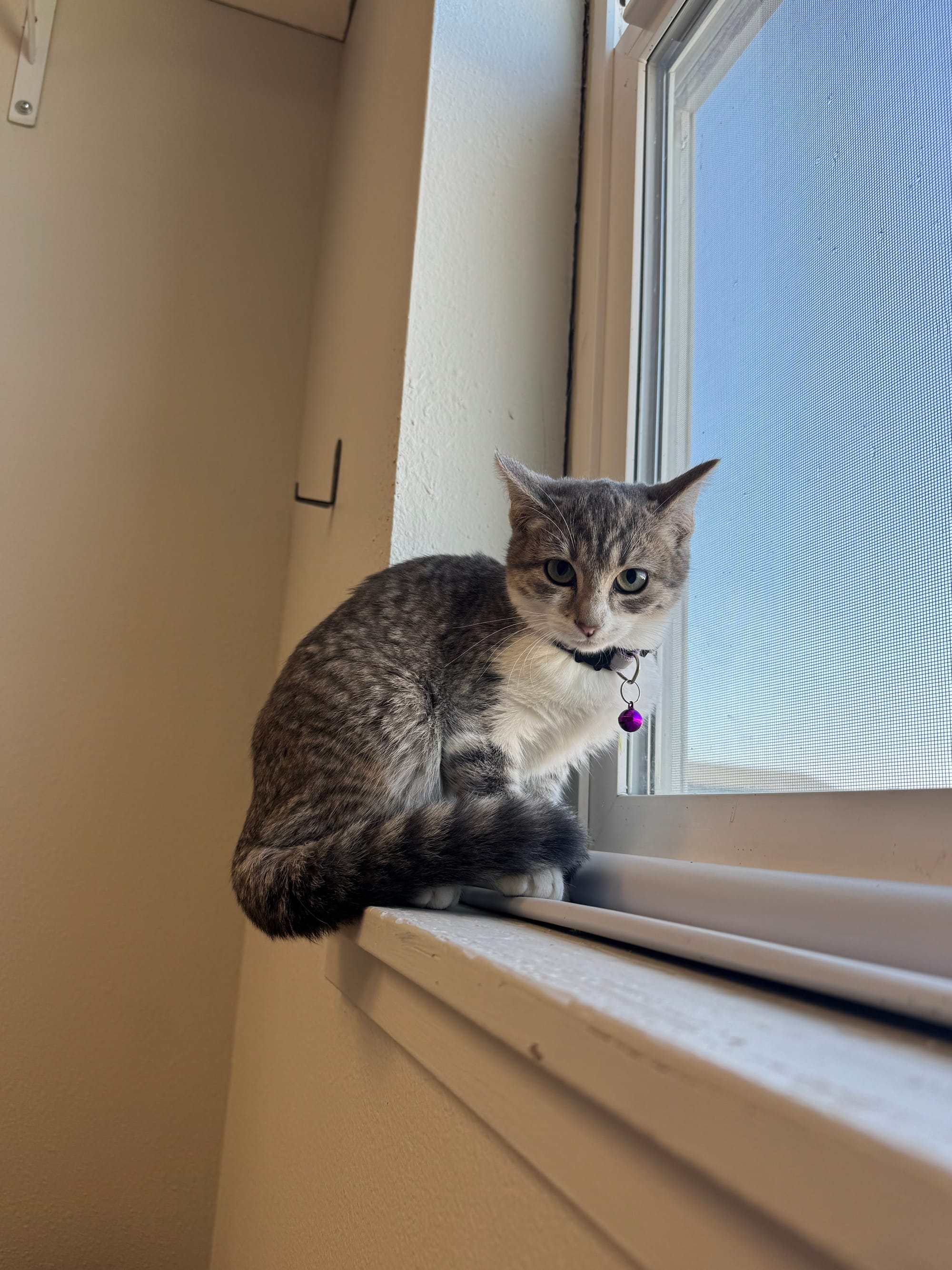 Maggie