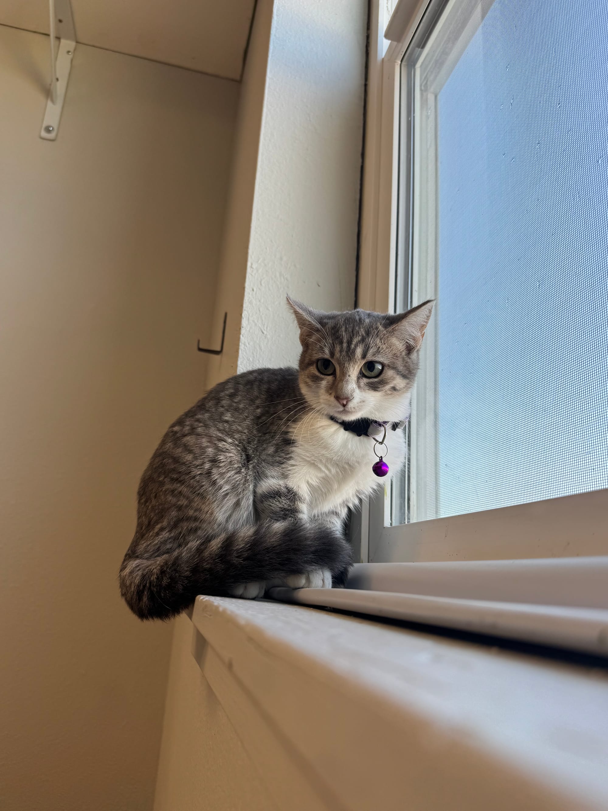 Maggie