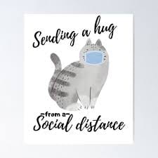 Important Notice For Cats