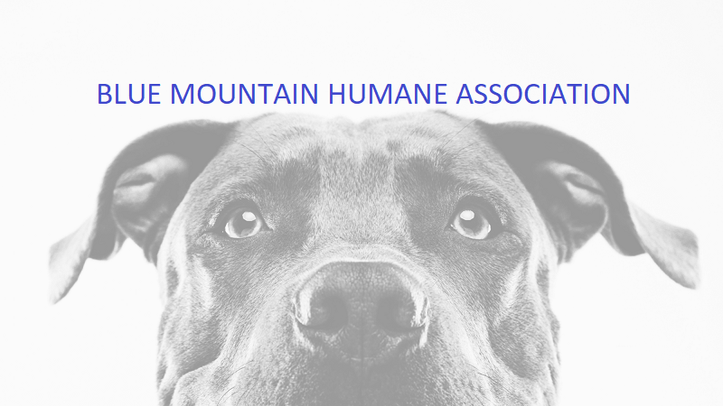 NEWSLETTER December 2025