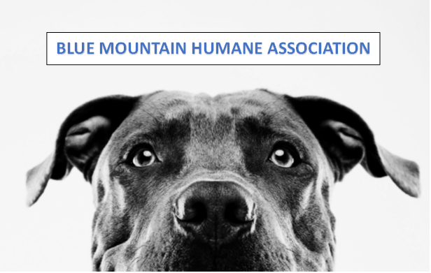 Newsletter March 2026