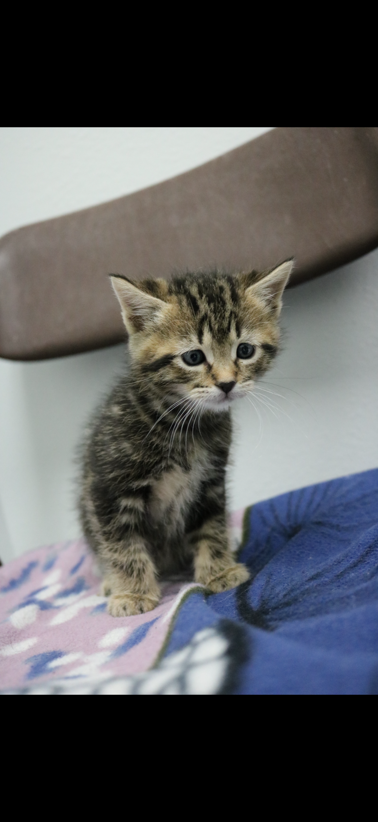 Columbus, NOT READY TO ADOPT YET